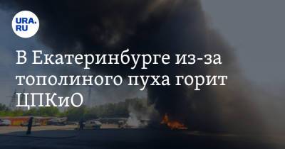 В Екатеринбурге из-за тополиного пуха горит ЦПКиО. Видео