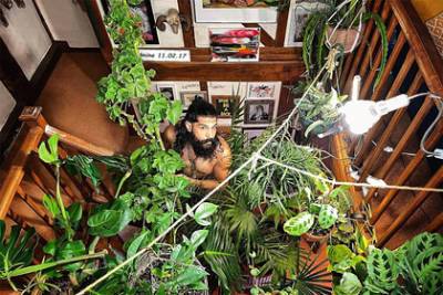 Мужчина посадил дома сотни растений и превратил его в джунгли