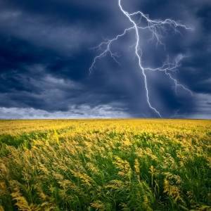 Завтра в Украине объявлено штормовое предупреждение