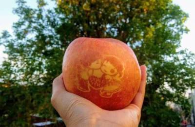 Техника «Модзи Ринго»: как в Японии делают рисунки на яблоках