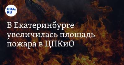 В Екатеринбурге увеличилась площадь пожара в ЦПКиО