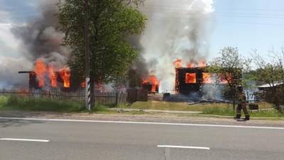 Сильный ветер раздул крупный пожар под Великим Новгородом