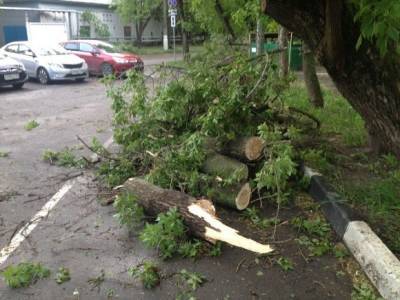 В Москве девять машин пострадали из-за упавших от сильного ветра деревьев