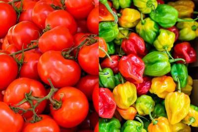 Введен запрет на ввоз в Казахстан томатов и перца из Туркменистана