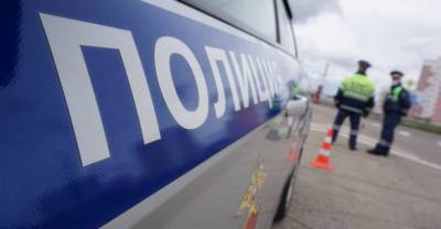 Пьяный член Общественной палаты Домодедова подрался с инспекторами ДПС, "защищая" друга