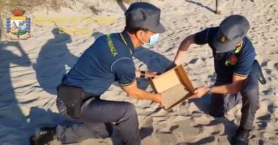 До 3000 евро: в Сардинии туристов, пытающихся вывезти песок и ракушки, начали штрафовать