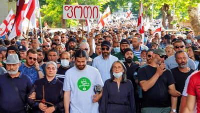 Протесты в Грузии против строительства ГЭС затронули Турцию и ЕС