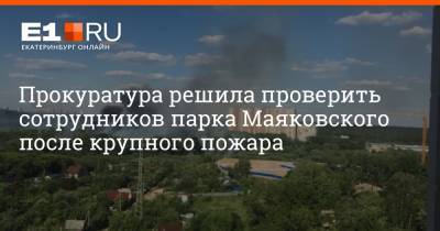 Прокуратура решила проверить сотрудников парка Маяковского после крупного пожара
