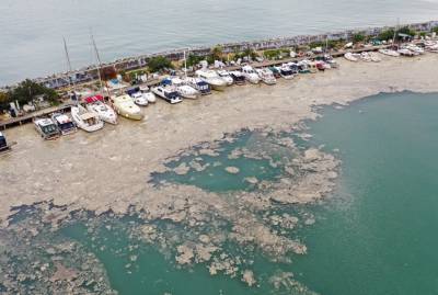 Остановит ли туристов загадочная слизь в Мраморном море