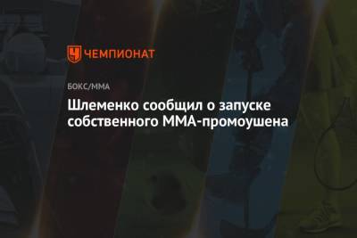 Шлеменко сообщил о запуске собственного ММА-промоушена