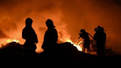 Пожар на химзаводе в Индии унес жизни 14 человек