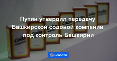 Путин утвердил передачу Башкирской содовой компании под контроль Башкирии