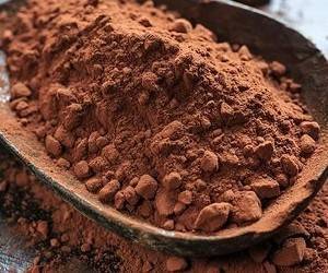 Какао содержит соединения, защищающие от болезней сердца и мозга