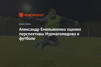 Александр Емельяненко оценил перспективы Нурмагомедова в футболе