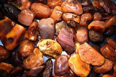 В Ровенской области разоблачили контрабанду янтаря почти на 5 млн гривен