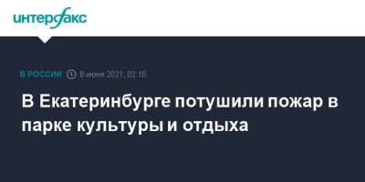 В Екатеринбурге потушили пожар в парке культуры и отдыха