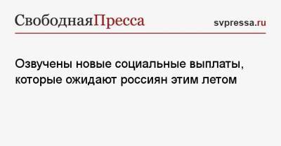 Озвучены новые социальные выплаты, которые ожидают россиян этим летом