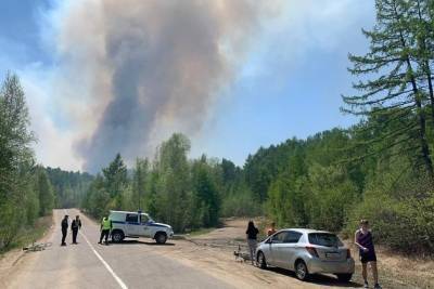 Виновникам лесного пожара на 400 га на Молоковке грозит штраф от 200 до 400 тыс. руб.