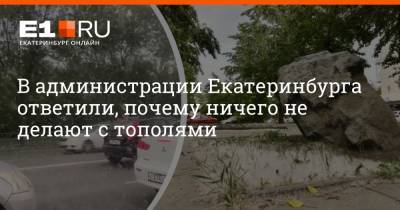 В администрации Екатеринбурга ответили, почему ничего не делают с тополями
