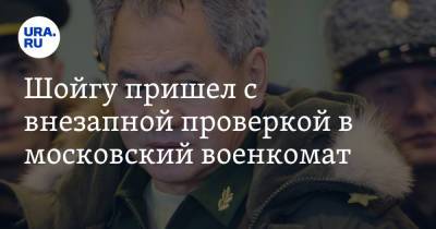 Шойгу пришел с внезапным визитом в московский военкомат. «Вы что, как партизаны-то»
