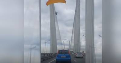 "На работу успеет": Парапланерист пролетел между вантами Золотого моста