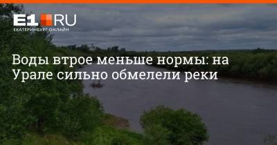 Воды втрое меньше нормы: на Урале сильно обмелели реки