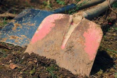 В Смоленске спор между соседями закончился избиением лопатой