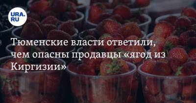 Тюменские власти ответили, чем опасны продавцы «ягод из Киргизии»