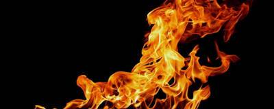 При пожаре в Пермском крае погибли трое детей и мужчина