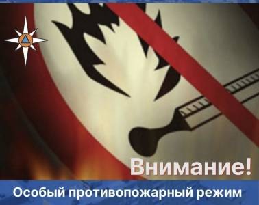 Внимание: на территории Пермского края введен особый противопожарный режим