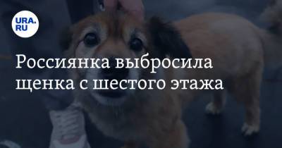 Россиянка выбросила щенка с шестого этажа