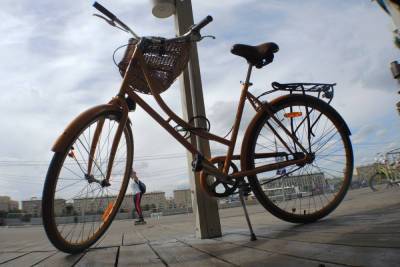 Воры украли велосипед у гобоиста Большого театра