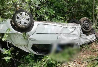Водитель погиб, а пассажир доставлен в больницу после ДТП на «Золотом кольце» в Тверской области