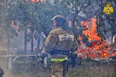 В пригороде Кургана случился крупный пожар из-за загоревшегося тополиного пуха