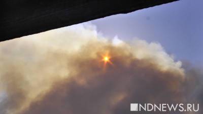 В Индии 18 человек погибли при пожаре на химзаводе - newdaynews.ru - Пуна