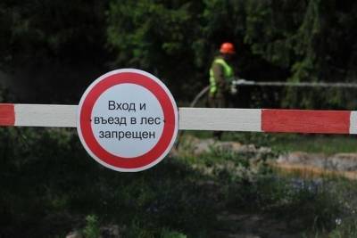 В Ярославской области запретили ходить в лес