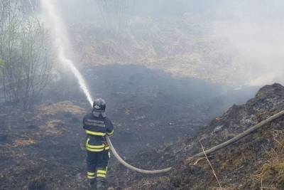 Крупный лесной пожар в Ковдорском районе тушат сотрудники авиационной охраны