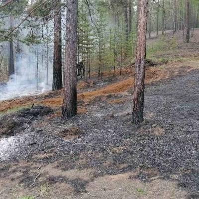 Два лесных и два ландшафтных пожара возникли за сутки в Тюменской области