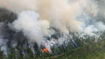 Минприроды заявило о занижении Якутией и Приангарьем данных о пожарах