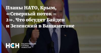 Планы НАТО, Крым, «Северный поток – 2». Что обсудят Байден и Зеленский в Вашингтоне