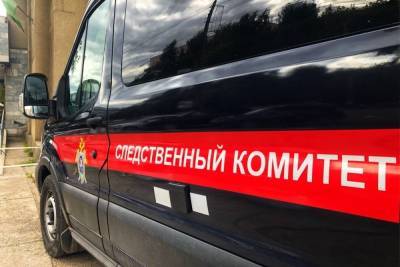 В реке в Тверской области утонул 13-летний мальчик: Следственный комитет проводит проверку
