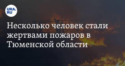 Несколько человек стали жертвами пожаров в Тюменской области