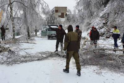 В Приморье 61 человека обвинили в энергоавариях после ледяного дождя