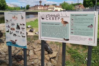 На берегу Уводи в Иваново появились афиши с правилами кормления уток