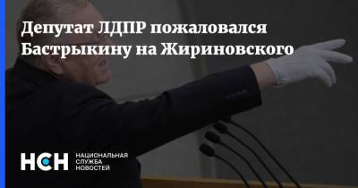 Депутат ЛДПР пожаловался Бастрыкину на Жириновского