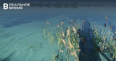 Очевидец рассказал, что Архиерейское озеро поезеленело впервые