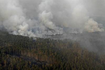 Минприроды выявило занижение статистики по пожарам в Якутии и Иркутской области