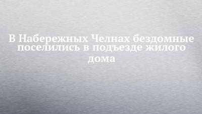 В Набережных Челнах бездомные поселились в подъезде жилого дома