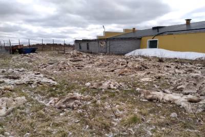 Нарушение правил утилизации биоотходов пресекли в Ловозерском районе