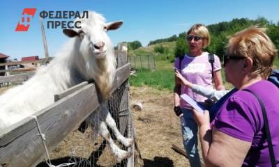В Челябинской области развивают шоп-туры по сельским территориям